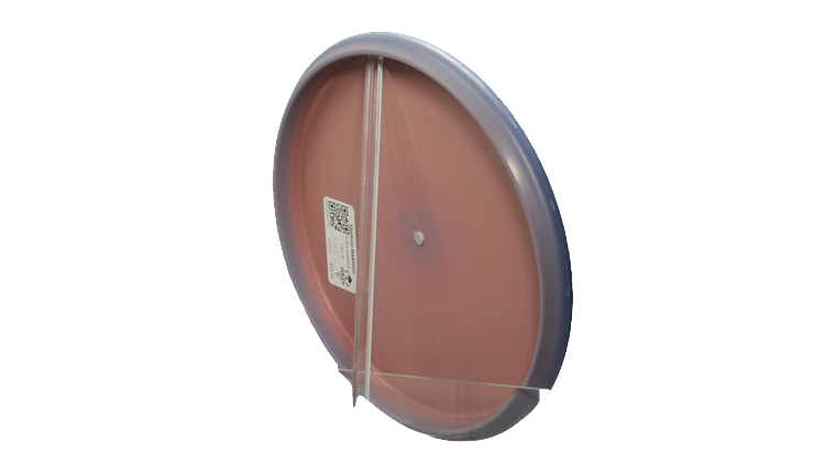 Streamline Electron Stabilizer Putter Back View