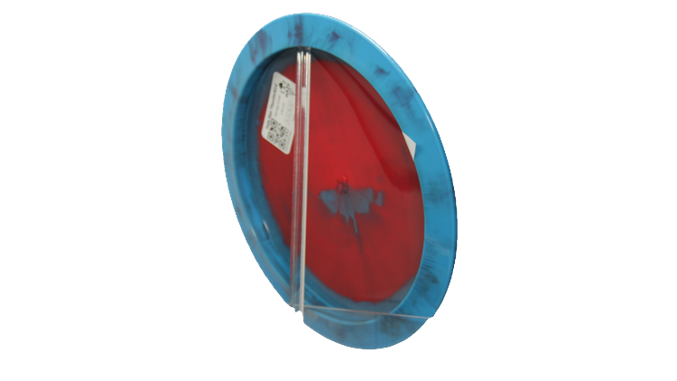 Innova Halo Star Thunderbird Fairway Driver Back View