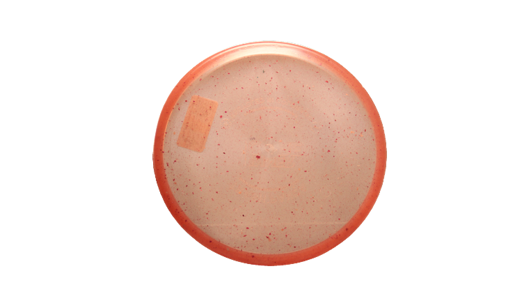 Trash Panda Phone Case Inner Core Putter Front View