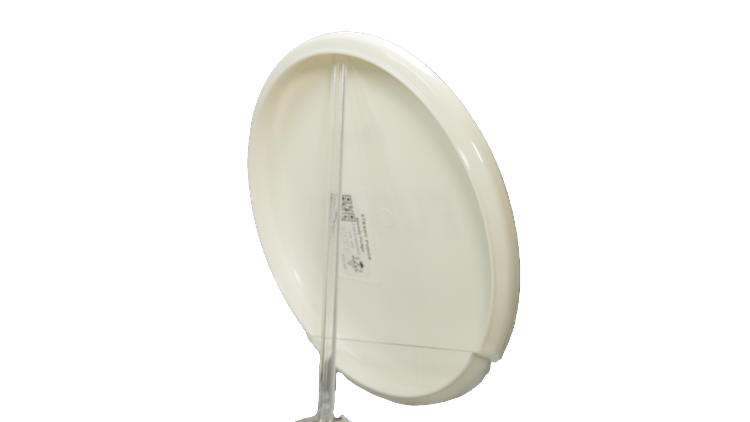 Clash Steady Fudge Putter Back View