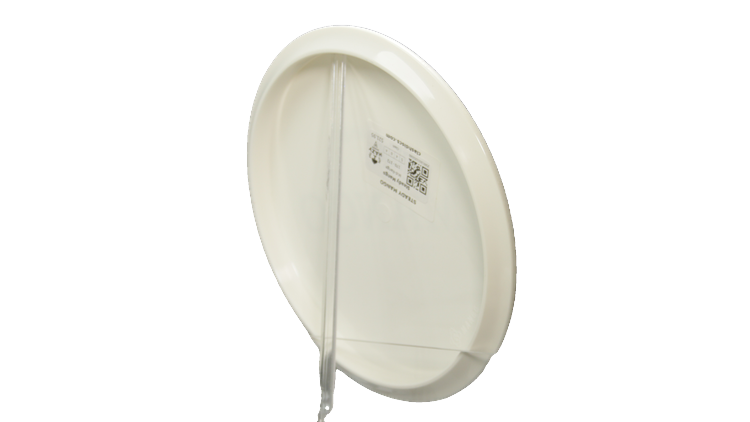 Clash Steady Mango Midrange Back View