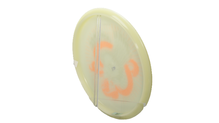 Innova 2025 USDGC Grapple Glow Champion Roc Midrange Back View