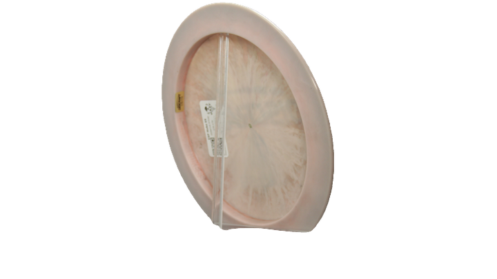 Discraft ESP Nuke SS Distance Driver Back View