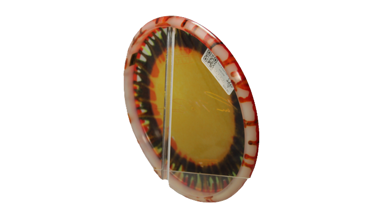 Discraft Paul McBeth Fly Dye Z Luna Putter Back View