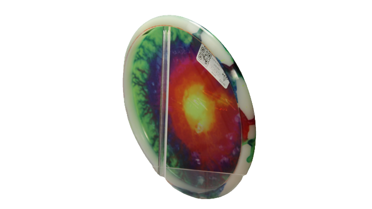 Discraft Paul McBeth Fly Dye Z Luna Putter Back View