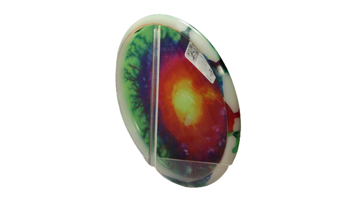 Discraft Paul McBeth Fly Dye Z Luna Putter Back View