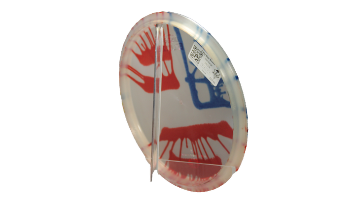 Discraft Z Fly Dye Buzzz Midrange Back View