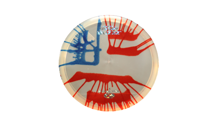Discraft Z Fly Dye Buzzz Midrange Front View