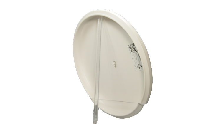 DGA D-Line Sonar Putter Back View