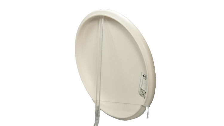 Discmania 2025 Gannon Buhr Triumph Series Glow Flex 3 P-Line P2X Putter Back View