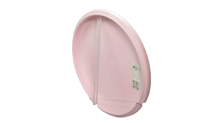 Discmania 2025 Gannon Buhr Triumph Series Glow Flex 3 P-Line P2X Putter Back View