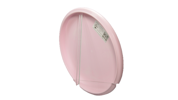 Discmania 2025 Gannon Buhr Triumph Series Glow Flex 3 P-Line P2X Putter Back View