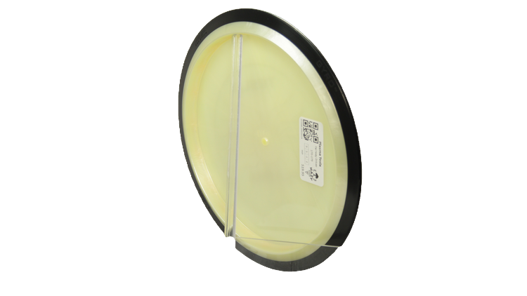 MVP Plasma Tesla Fairway Driver Back View