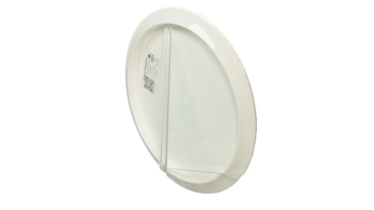 Streamline Neutron Turbulence Fairway Driver Back View