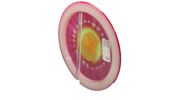 Discraft Paul McBeth Fly Dye Z Hades Distance Driver Back View