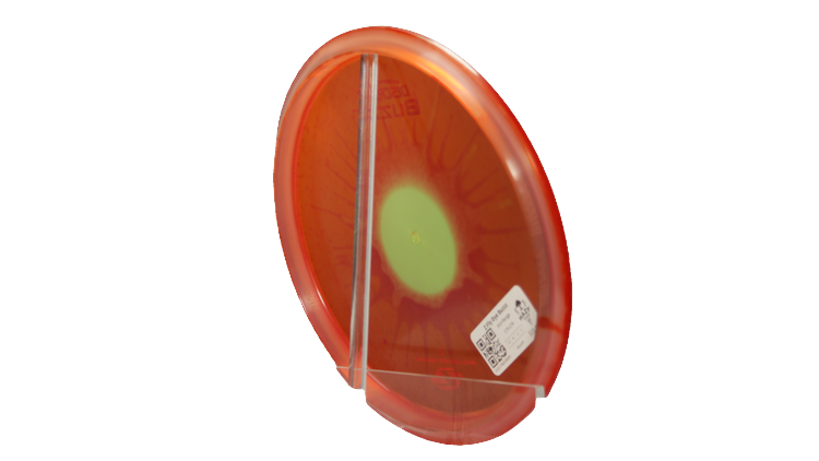 Discraft Z Fly Dye Buzzz Midrange Back View