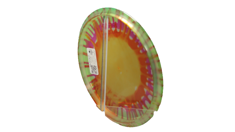 Discraft Z Fly Dye Buzzz Midrange Back View
