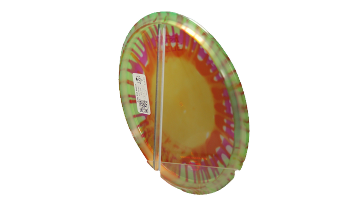 Discraft Z Fly Dye Buzzz Midrange Back View