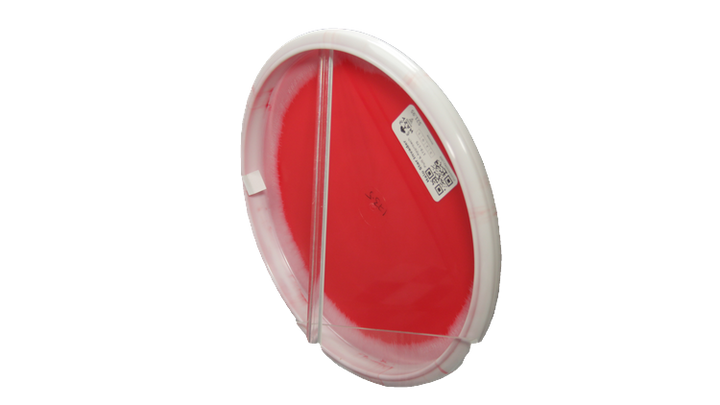 Innova Halo Star Invader Putter Back View