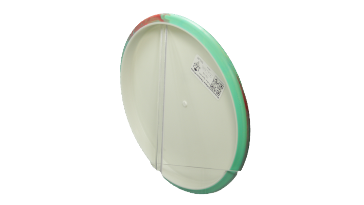 Axiom Prototype Eclipse Electron Proxy Putter Back View