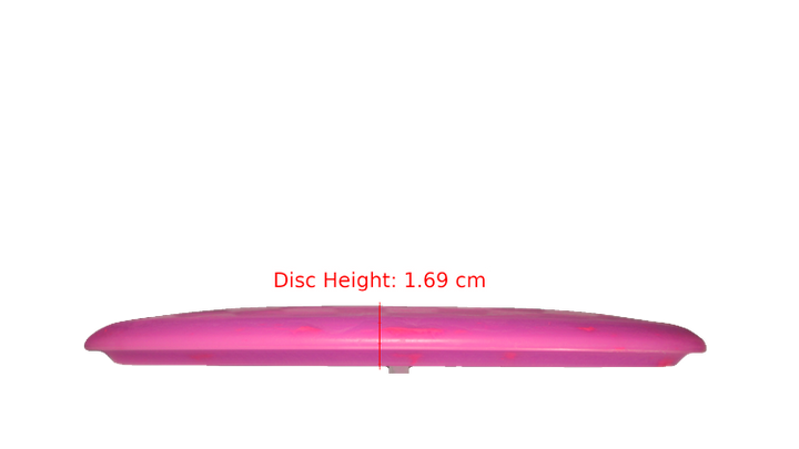 Dino Discs Egg Shell Brachiosaurus Midrange Profile View