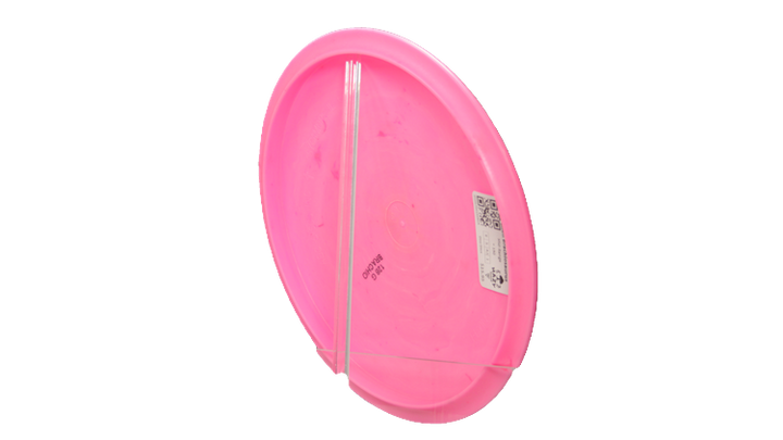 Dino Discs Egg Shell Brachiosaurus Midrange Back View