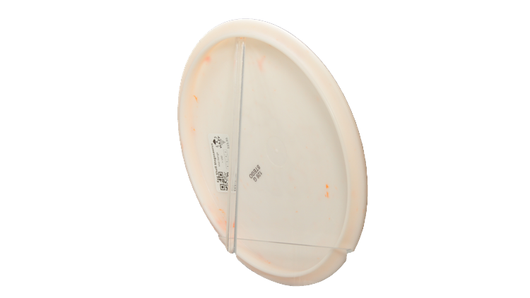 Dino Discs Egg Shell Stegosaurus Midrange Back View