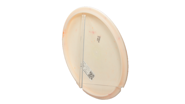 Dino Discs Egg Shell Stegosaurus Midrange Back View