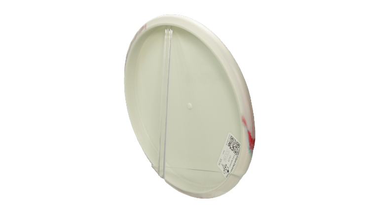 Axiom Prototype Eclipse Electron Proxy Putter Back View