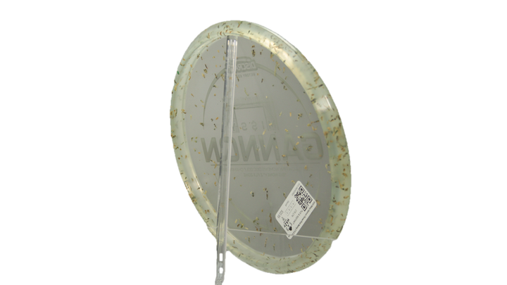 Discraft 2025 Missy Gannon Throw Pink Money Z FLX Zone Putter Back View