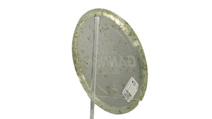 Discraft 2025 Missy Gannon Throw Pink Money Z FLX Zone Putter Back View