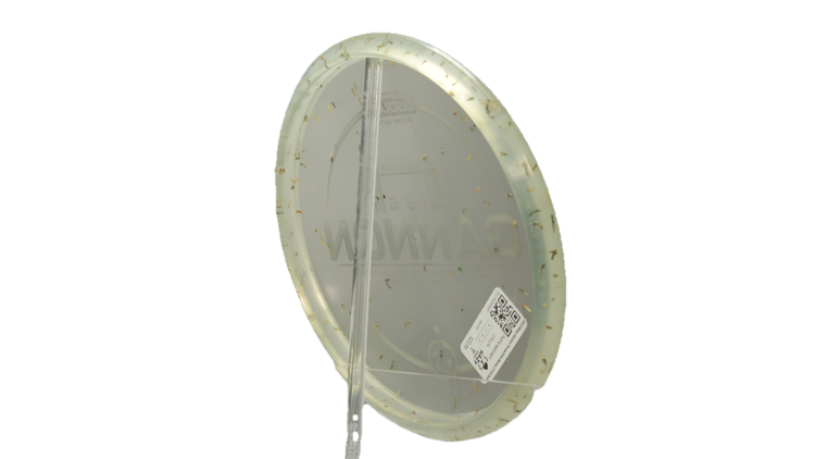 Discraft 2025 Missy Gannon Throw Pink Money Z FLX Zone Putter Back View