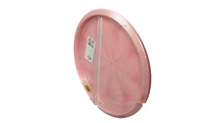 Discraft 2025 DGPT Final Holyn Handley Big Z Jawbreaker Zone SS Putter Back View