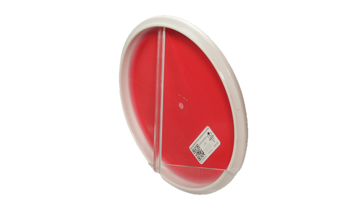 Discmania Special Edition Flex 2 Horizon D-Line P3x Putter Back View