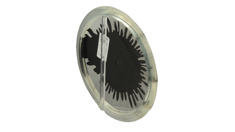 New Arrivals – Hazy Shade New Arrivals – Hazy Shade