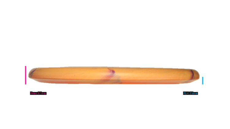 Discraft Ricky Wysocki Prototype CT Swirl Fossil Putter Profile View