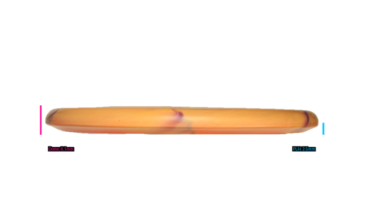 Discraft Ricky Wysocki Prototype CT Swirl Fossil Putter Profile View