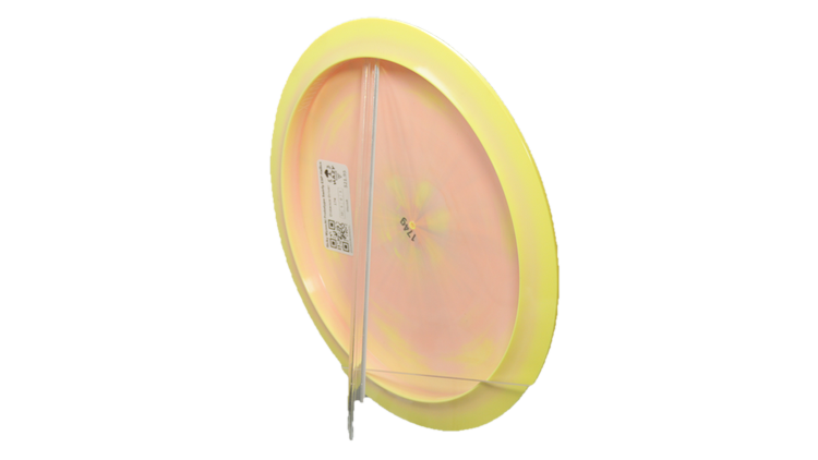 Discraft Ricky Wysocki Prototype Swirly ESP Hallux Distance Driver Back View