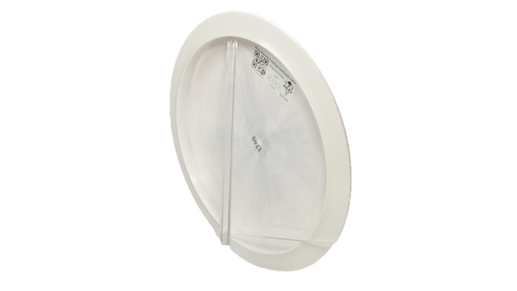 Discraft Ricky Wysocki Prototype Swirly ESP Hallux Distance Driver Back View