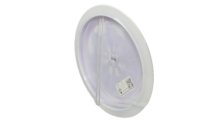 Discraft Ricky Wysocki Prototype Swirly ESP Hallux Distance Driver Back View