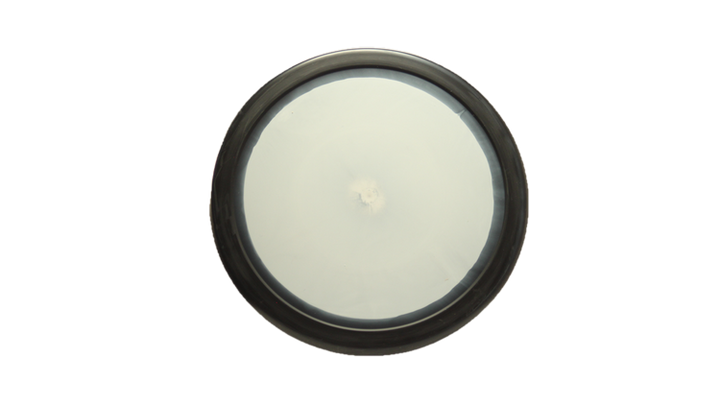 Dynamic Discs Blank Classic Supreme Orbit Sockibomb Slammer Putter Front View