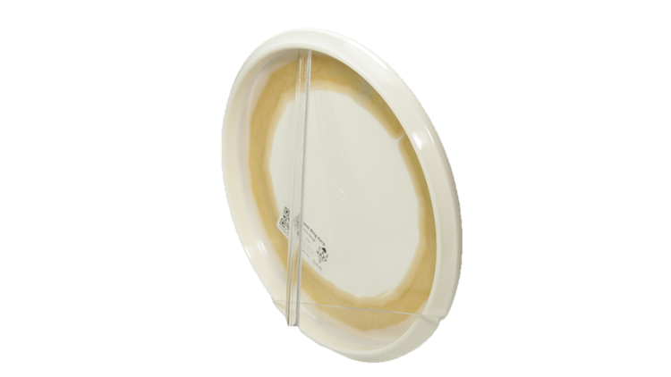 Westside Discs Tournament Ring Harp Midrange Back View