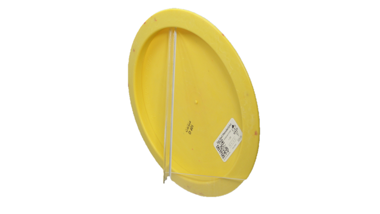 Dino Discs Egg Shell Pterodactylus Distance Driver Back View