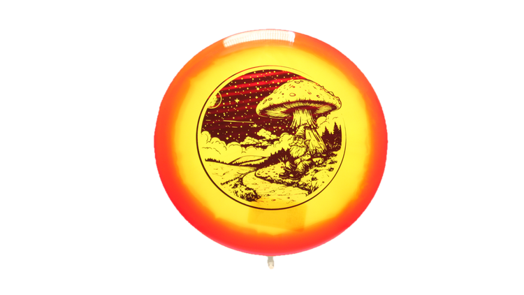 Dynamic Discs Gnome Stargazer Lucid-X Orbit Maverick Fairway Driver Front View