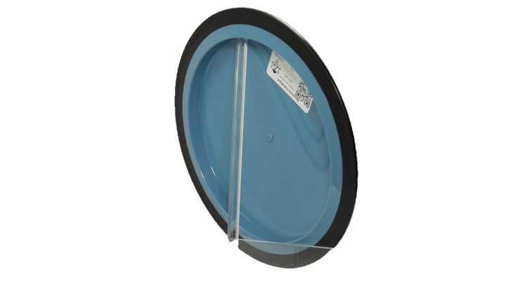 MVP Neutron Catalyst Distance Driver Back View