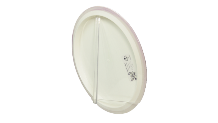 Axiom Neutron Crave Fairway Driver Back View