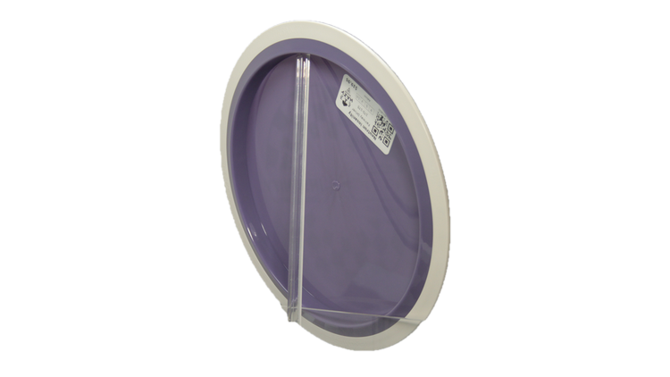 Axiom Neutron Insanity Fairway Driver Back View