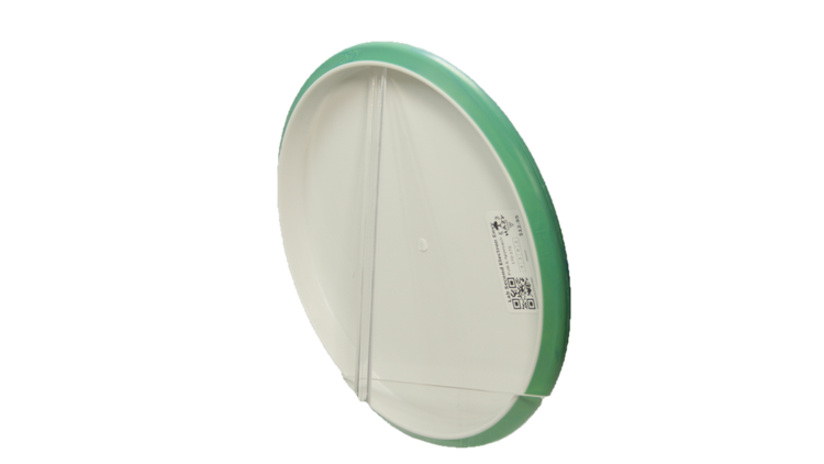 Axiom Lab Second Electron Envy Putter Back View