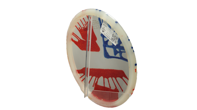 Discraft Z Fly Dye Buzzz SS Midrange Back View