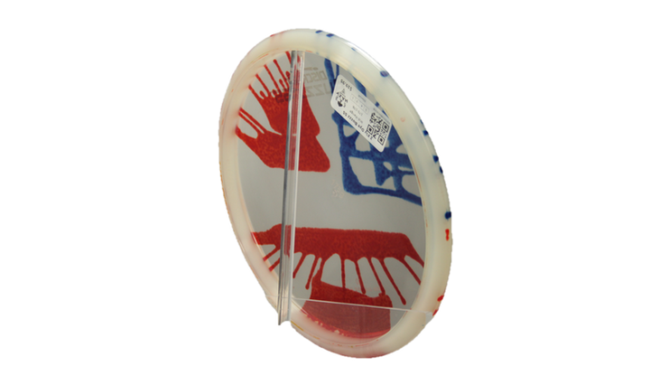 Discraft Z Fly Dye Buzzz SS Midrange Back View